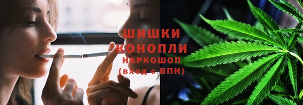 PSILOCYBIN Нязепетровск