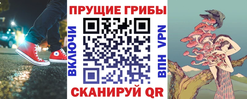 где купить   Ишим  Галлюциногенные грибы Psilocybe 